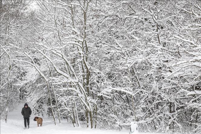 Tuyết phủ trắng xóa tại Budapest, Hungary, ngày 7/1/2026. Ảnh: THX/TTXVN