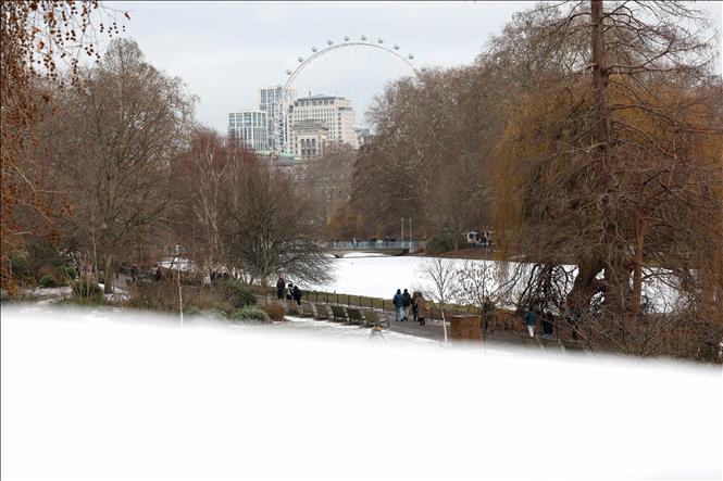 Tuyết rơi dày tại London, Anh, ngày 6/1/2026. Ảnh: THX/TTXVN