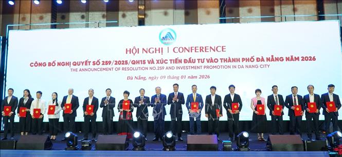 Thành phố Đà Nẵng trao Giấy chứng nhận đăng ký đầu tư cho các dự án lớn. Ảnh: Quốc Dũng - TTXVN
