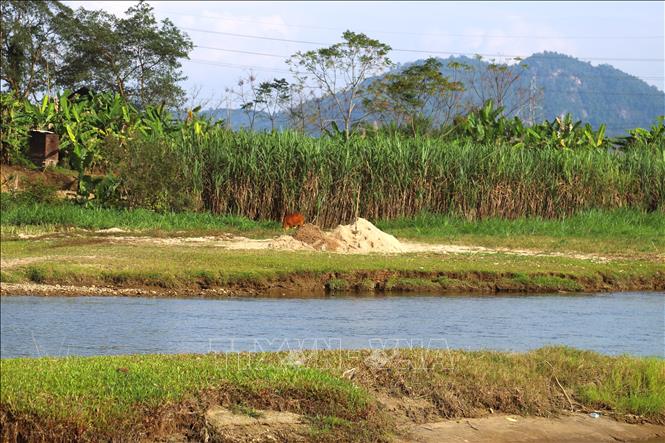 Cát khai thác được tập kết trên các bãi bồi ven suối trên địa bàn xã Quế Phong (Nghệ An). Ảnh: Xuân Tiến - TTXVN