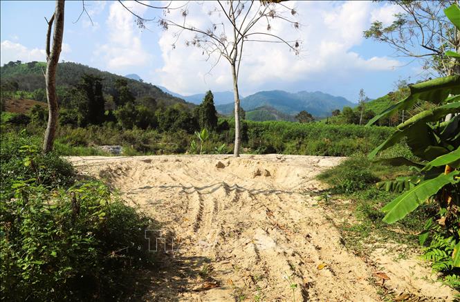 Bãi cát có quy mô lớn nằm ven suối, khuất sau khuôn viên trang trại của người dân ở thôn Thịnh Phong (xã Quế Phong, tỉnh Nghệ An). Ảnh: Xuân Tiến - TTXVN 