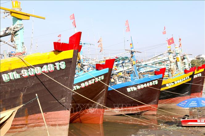 Fishing boats anchor on Ca Ty river, Phan Thiet ward. VNA Photo: Nguyễn Thanh 