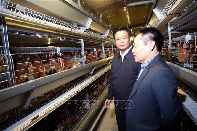 Lãnh đạo ngành Nông nghiệp và Môi trường tỉnh Quảng Trị luôn quan tâm, khuyến khích các chủ đầu tư chú trọng vào lĩnh vực nông nghiệp xanh, bền vững. Ảnh: Tá Chuyên – TTXVN