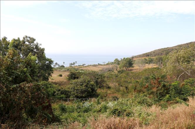 Phường Phú Thủy (Lâm Đồng) có nhiều dự án đầu tư ngoài ngân sách chưa thể triển khai do vướng quy hoạch, đất đai. Ảnh: Nguyễn Thanh - TTXVN