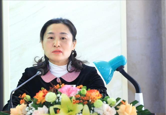 Đại diện chi hội tỉnh Hà Giang (cũ) trình bày tham luận tại hội nghị. Ảnh: Tuấn Anh - TTXVN