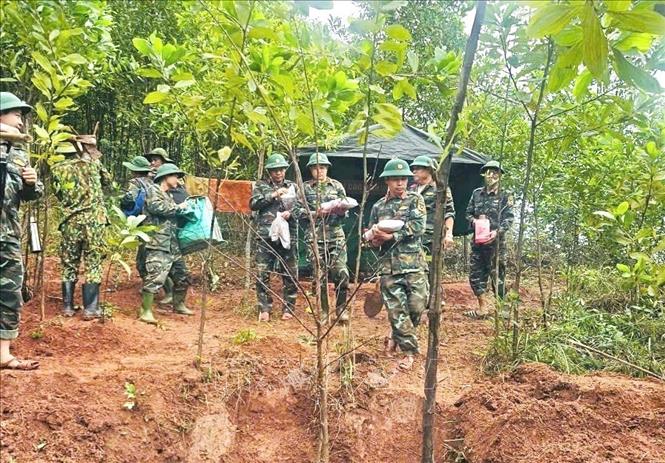 Đội 584, Phòng Chính trị, Bộ Chỉ huy Quân sự tỉnh Quảng Trị đã tìm kiếm, cất bốc được 2 hài cốt liệt sĩ cùng nhiều di vật tại rừng tràm của một hộ dân ở thôn Trại Cá, xã Đakrông. Ảnh: TTXVN phát