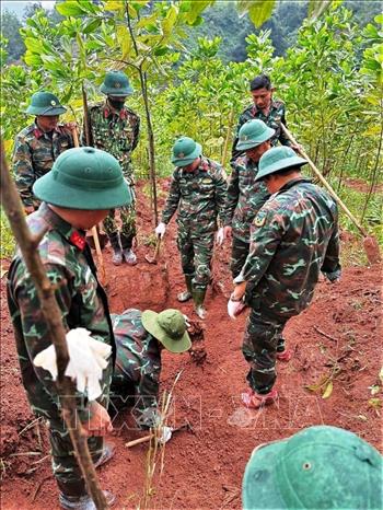 Tại địa bàn xã Đakrông (tỉnh Quảng Trị), Đội 584, Phòng Chính trị, Bộ Chỉ huy Quân sự tỉnh đã tìm kiếm, cất bốc được 2 hài cốt liệt sĩ cùng nhiều di vật. Ảnh: TTXVN phát