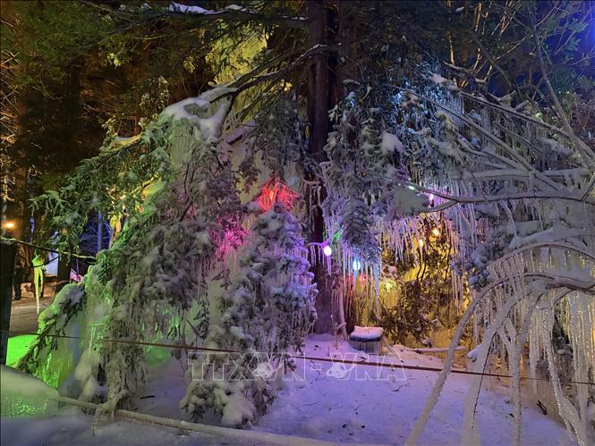 Vẻ đẹp huyền ảo của rừng băng vào buổi tối. Ảnh: Xuân Giao – PV TTXVN tại Nhật Bản