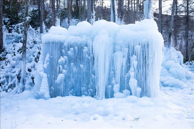 Ban ngày, Subzero Forest mang vẻ đẹp trong trẻo, tĩnh lặng, với sắc xanh nhạt của băng phản chiếu ánh mặt trời. Ảnh: Xuân Giao – PV TTXVN tại Nhật Bản