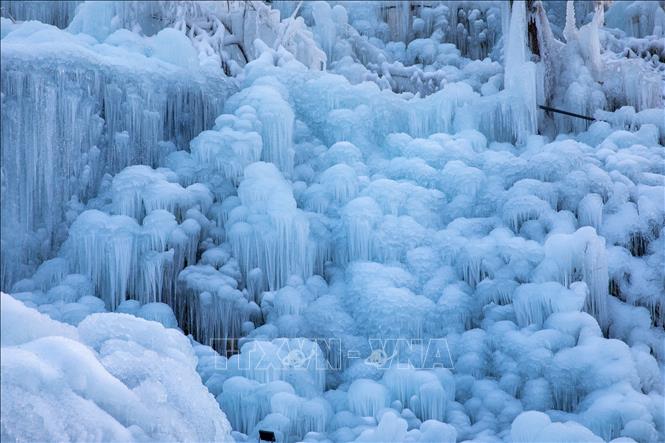 Mỗi mùa Đông, nước được phun liên tục lên cây cối, khung gỗ, sau đó đóng băng tự nhiên thành những cột băng, thác băng và mảng băng treo lấp lánh. Ảnh: Xuân Giao – PV TTXVN tại Nhật Bản
