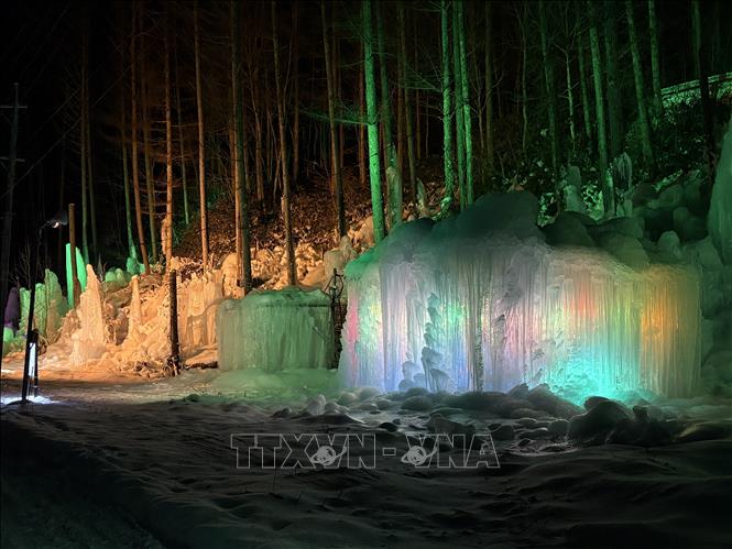 Khu rừng là sự kết hợp hoàn hảo giữa thiên nhiên và nghệ thuật. Ảnh: Xuân Giao – PV TTXVN tại Nhật Bản