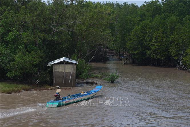 Coastal slides seriously affect to locals' livehoods. VNA Photo: Chanh Đa