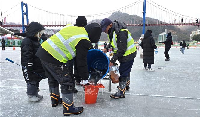 Nhân viên tại lễ hội cung cấp cá tươi sống cho sông băng phục vụ lễ hội câu cá. Ảnh: Đức Thắng - Pv TTXVN tại Hàn Quốc 