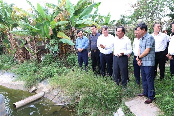 TS Trịnh Văn Thiện (thứ 3 từ trái sang) trong chuyến thăm mô hình sản xuất của nông dân phường Kiến An, thành phố Hải Phòng. Ảnh: Mạnh Minh – TTXVN