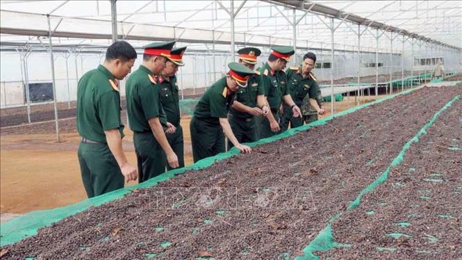 Quân khu V đang phát triển thương hiệu 