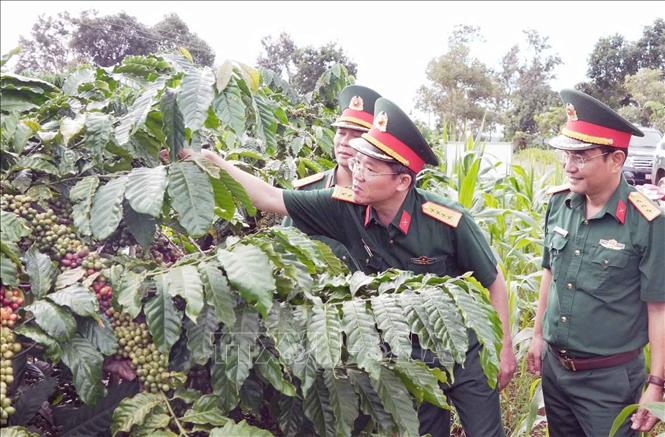 Quân khu V đang phát triển thương hiệu 