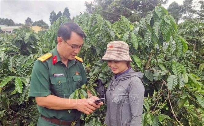 Quân khu V đang phát triển thương hiệu 