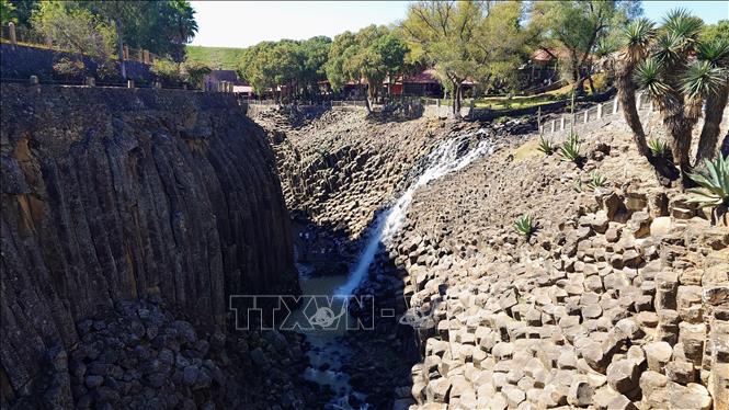 Bề mặt các cột đá bazan với những đường nứt đều đặn, được các nhà địa chất đánh giá là ví dụ điển hình của hiện tượng “nứt cột bazan” hiếm gặp trong tự nhiên. Ảnh: Phi Hùng-PV TTXVN tại Mexico