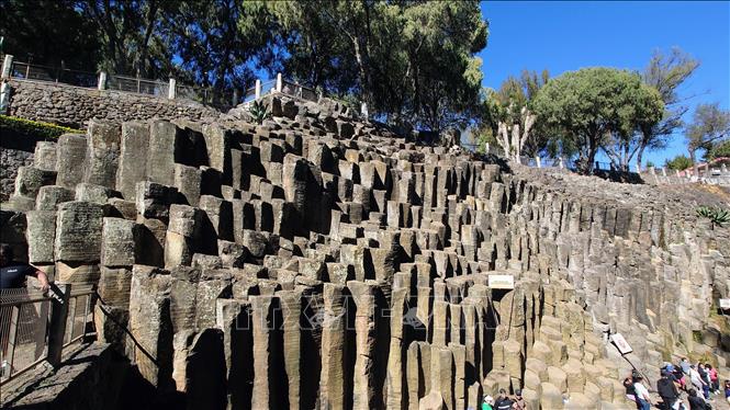 Những cột đá bazan ngũ giác và lục giác dựng đứng bên hẻm núi Barranca de Alcholoya, phản ánh rõ nét quá trình nguội và nứt của dung nham núi lửa khi gặp dòng nước lạnh cách đây hàng triệu năm. Ảnh: Phi Hùng-PV TTXVN tại Mexico