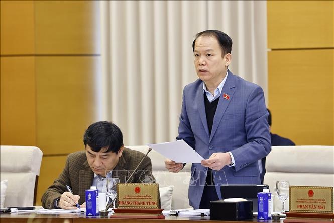 Chủ nhiệm Ủy ban Pháp luật và Tư pháp của Quốc hội Hoàng Thanh Tùng phát biểu. Ảnh: Doãn Tấn - TTXVN 
