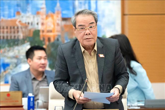 Chủ nhiệm Ủy ban Dân nguyện và Giám sát của Quốc hội Dương Thanh Bình phát biểu. Ảnh: Doãn Tấn - TTXVN