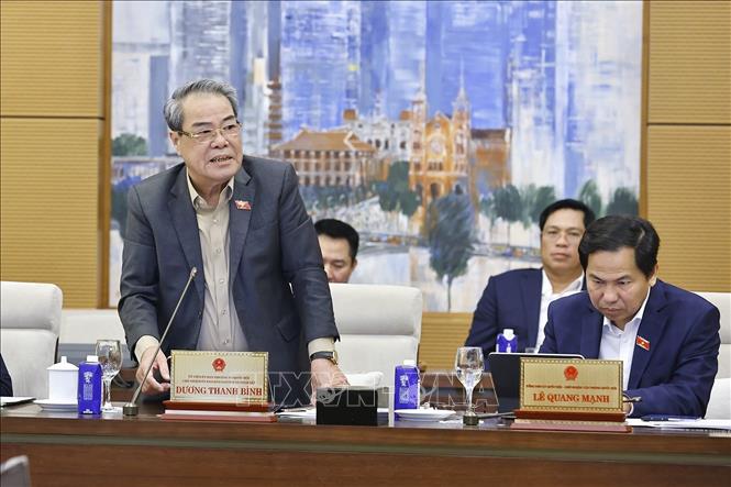 Chủ nhiệm Ủy ban Dân nguyện và Giám sát của Quốc hội Dương Thanh Bình phát biểu. Ảnh: Doãn Tấn - TTXVN