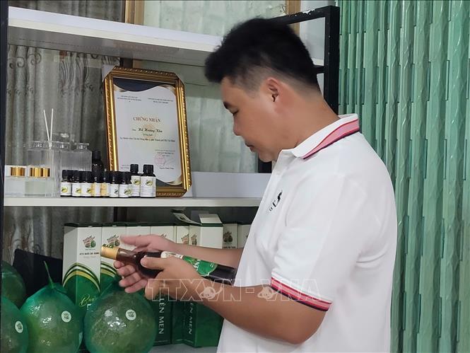 Anh Hồ Hoàng Kha kiểm tra sản phẩm chế biến từ vỏ bưởi trước khi đưa ra thị trường tiêu thụ. Ảnh: Hoàng Nhị - TTXVN 