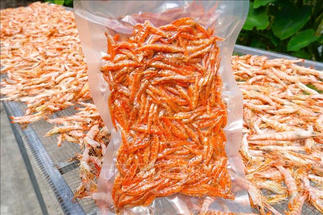 With its rich flavor, ease of preservation, and simple preparation, dried shrimp of Ca Mau is one of top specialties. VNA Photo: Huỳnh Anh
