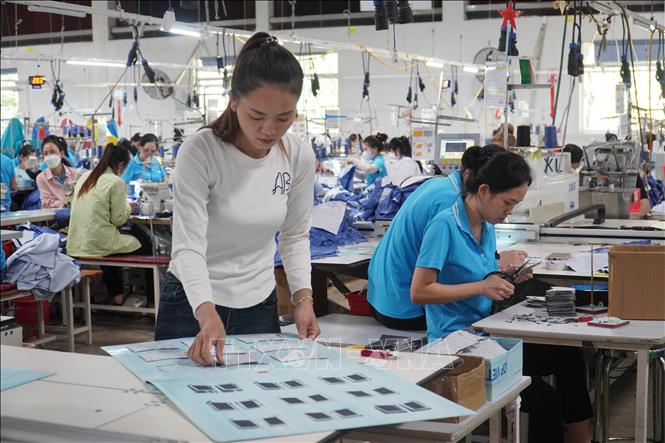 Hoạt động sản xuất tại Công ty Cổ phần Đồng Phú Cường (tỉnh Đồng Nai). Ảnh: Công Phong - TTXVN