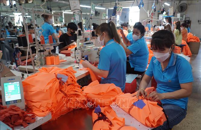 Hoạt động sản xuất tại Công ty Cổ phần Đồng Phú Cường (tỉnh Đồng Nai). Ảnh: Công Phong - TTXVN