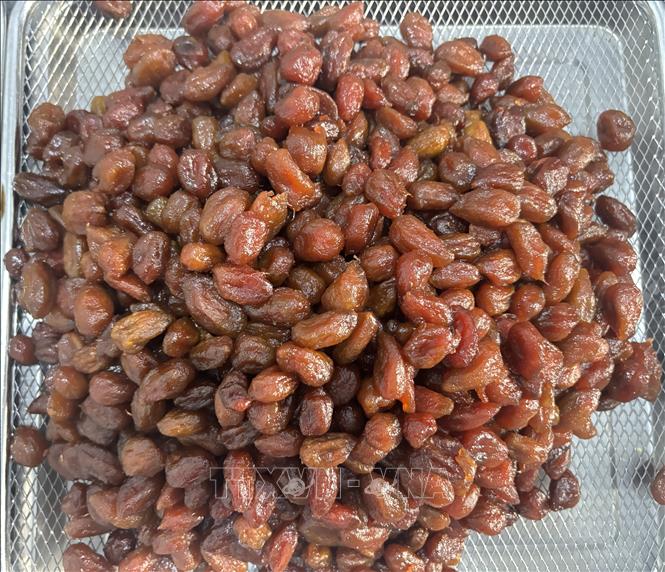 Sản phẩm cóc non sấy dẻo phải đợi 3 ngày mới tạo ra được 1 mẻ với 100 kg cóc hữu cơ.Ảnh: Hồng Nhung - TTXVN