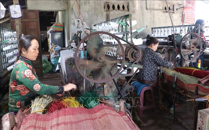 Người dân hối hả sản xuất vụ Tết tại “thủ phủ” chiếu cói Thu Xà. Ảnh: Đinh Hương - TTXVN