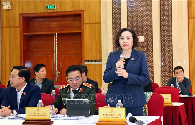 Phó Chủ tịch Hội đồng Dân tộc Cao Thị Xuân phát biểu ý kiến tại Hội nghị. Ảnh: Tá Chuyên - TTXVN