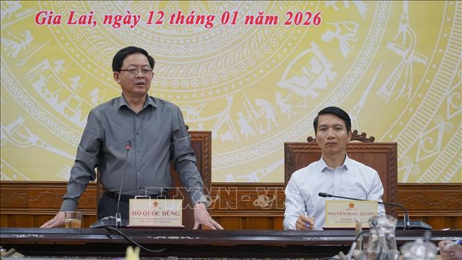 Phó Thủ tướng Hồ Quốc Dũng phát biểu tại buổi làm việc với tỉnh Gia Lai. Ảnh: Sỹ Thắng-TTXVN