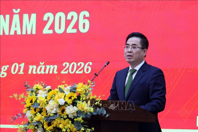 Đồng chí Nguyễn Hoàng Giang, Chủ tịch UBND tỉnh Quảng Ngãi phát biểu tại hội nghị. Ảnh: Cao Nguyên-TTXVN
