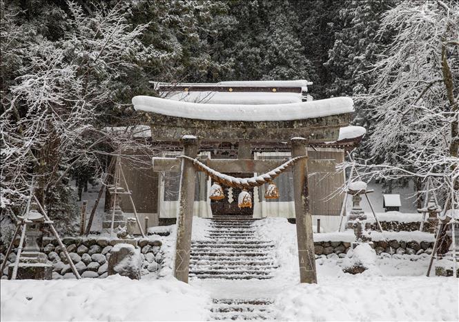 Tuyết rơi phủ trắng cánh cổng 