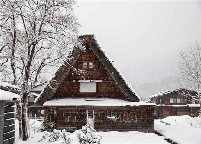 Ngôi nhà gassho-zukuri có mái tranh dốc đứng như bàn tay chắp lại cầu nguyện, được xây dựng để chịu được tuyết rơi dày vào mùa Đông. Ảnh: Xuân Giao – PV TTXVN tại Nhật Bản