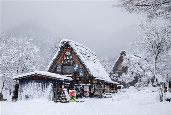 Shirakawago được UNESCO công nhận là Di sản Văn hóa Thế giới vào năm 1995. Ảnh: Xuân Giao – PV TTXVN tại Nhật Bản