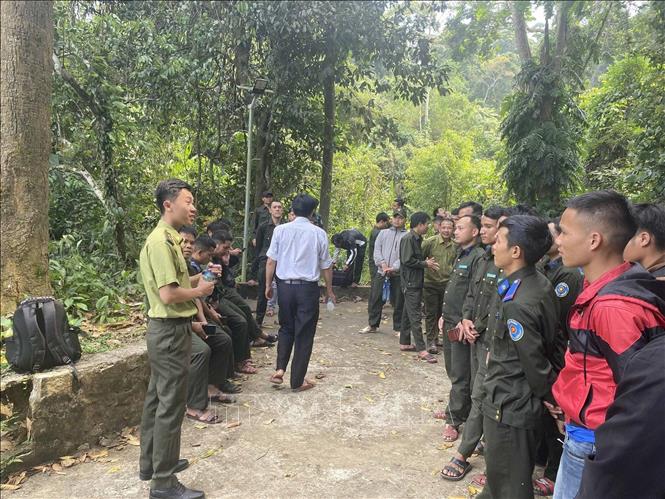 Lực lượng kiểm lâm phối hợp cùng các lực lượng khác triển khai 424 đợt kiểm tra, truy quét đối tượng khai thác lâm sản trái phép trong năm 2025. Ảnh: Đoàn Hữu Trung - TTXVN