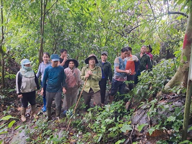 Cán bộ kiểm lâm, chính quyền địa phương và người dân được giao quyền quản lý bảo vệ rừng xã Trà My triển khai công tác bảo vệ rừng. Ảnh: Đoàn Hữu Trung - TTXVN