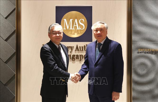 Permanent Deputy Prime Minister Nguyen Hoa Binh meets with Singaporean Deputy Prime Minister, Minister for Trade and Industry and Chairman of the Monetary Authority of Singapore Gan Kim Yong. VNA/Photo by courtesy