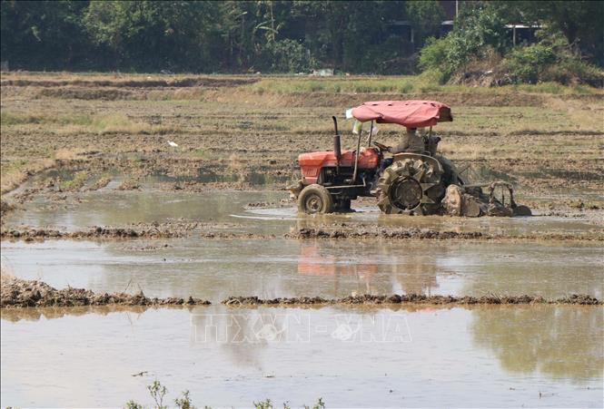 Nông dân phường Thủy Xuân, thành phố Huế làm đất để gieo cấy lúa vụ Đông Xuân 2025 - 2026. Ảnh: Nguyên Lý - TTXVN