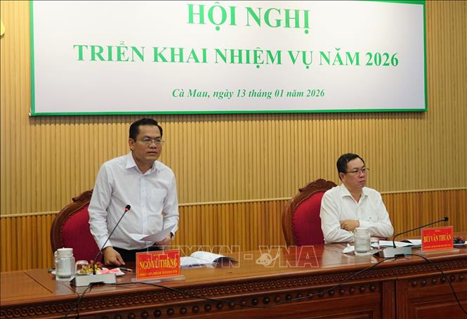 Phó Chủ tịch UBND tỉnh Cà Mau Ngô Vũ Thăng phát biểu tại hội nghị. Ảnh: Huỳnh Anh - TTXVN         