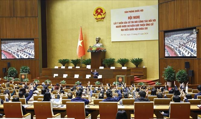 A view of the conference. VNA Photo: Doãn Tấn 