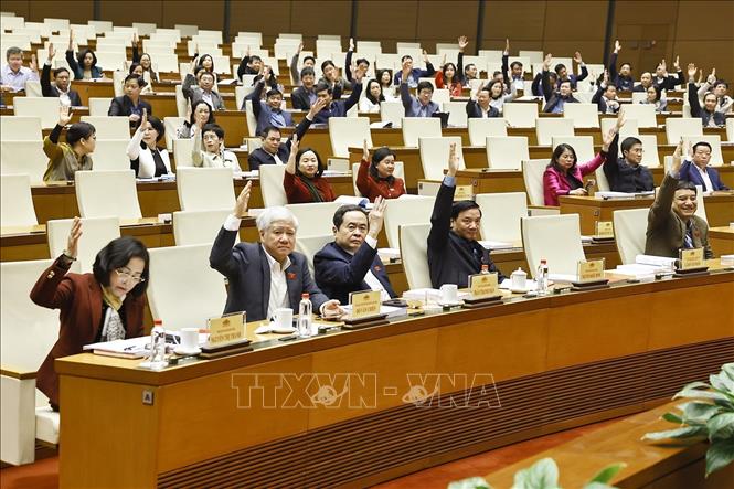 A view of the conference. VNA Photo: Doãn Tấn 