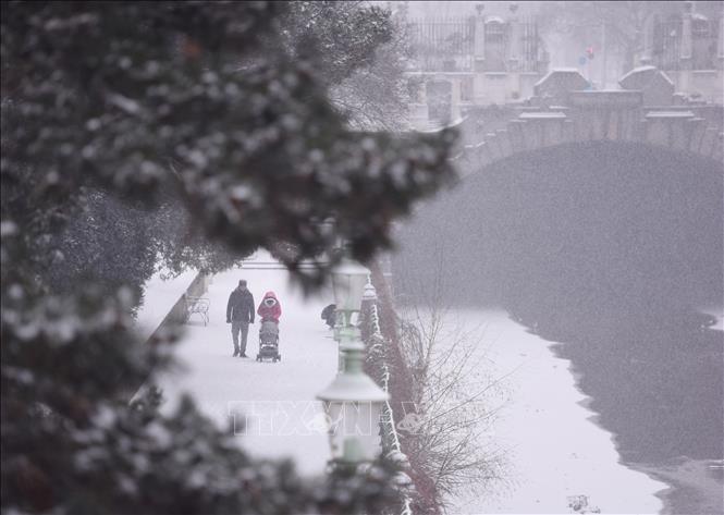 Tuyết phủ trắng ở Vienna, Áo ngày 9/1/2026. Ảnh: THX/TTXVN