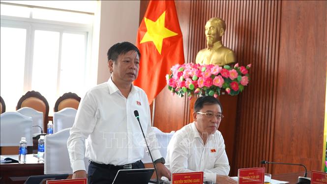 Ông Nguyễn Trường Giang, Phó Chủ nhiệm Ủy ban Pháp luật và Tư pháp của Quốc hội phát biểu. Ảnh: Văn Sĩ - TTXVN