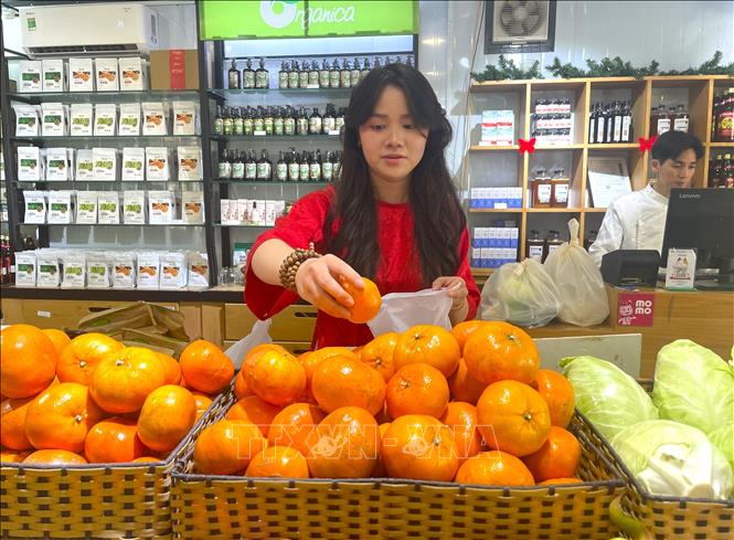 Người tiêu dùng xu hướng lựa chọn nông sản hữu cơ cho giỏ quà Tết 2026. Ảnh: Hương Giang - TTXVN