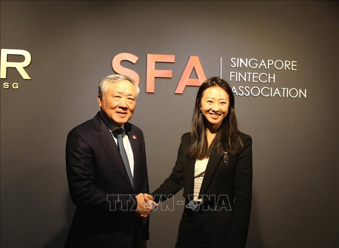 Phó Thủ tướng Thường trực Nguyễn Hòa Bình làm việc với Singapore Global Fintech Association. Ảnh: TTXVN phát