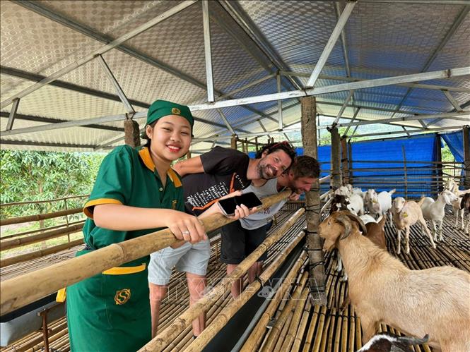 Tourists visit an agri-tourism farm in Nam Ninh Hoa commune, Khanh Hoa province. VNA Photo/Photo by courtesy